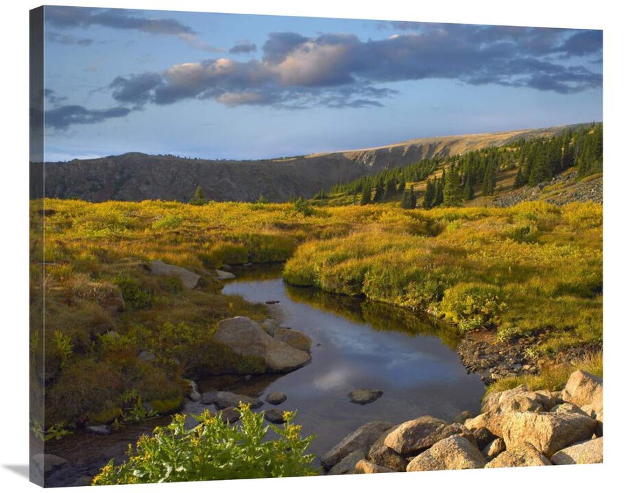 Alpine stream, Rollins Pass near Winter Park, Colorado-Canvas Art-36x29.88