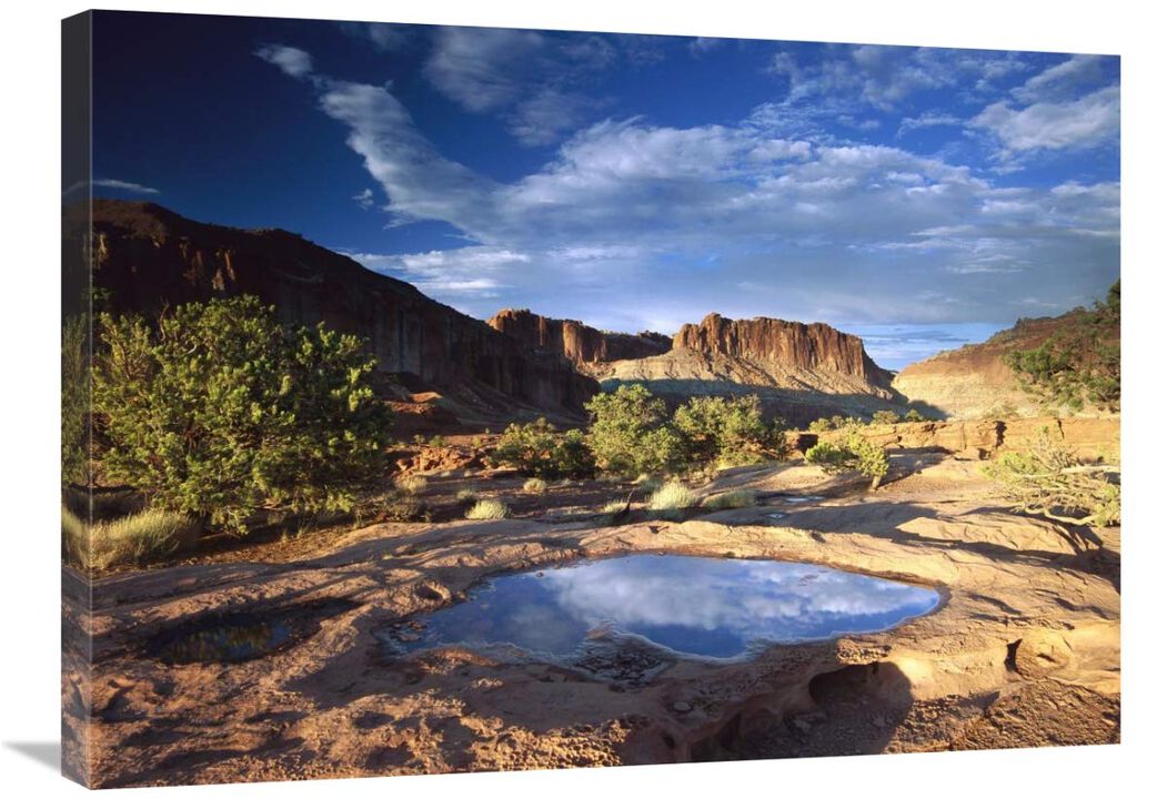 Water pothole at Panorama Point, Capitol Reef National Park, Utah-Canvas Art-32x24