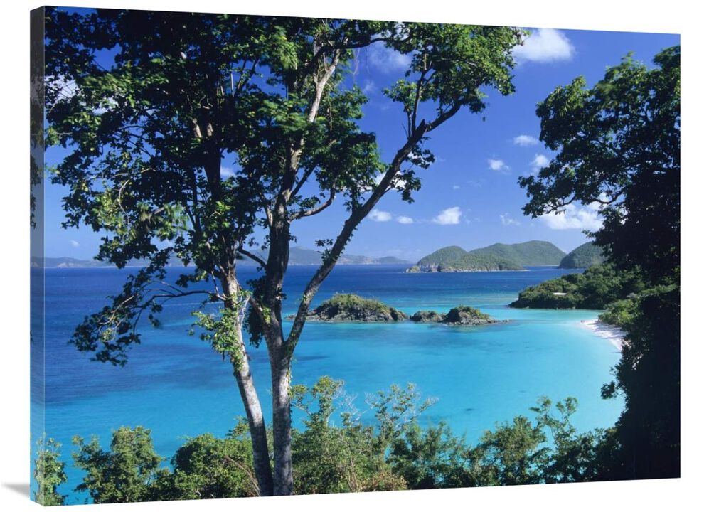 Caribbean seen through trees, Virgin Islands National Park-Canvas Art-40x30
