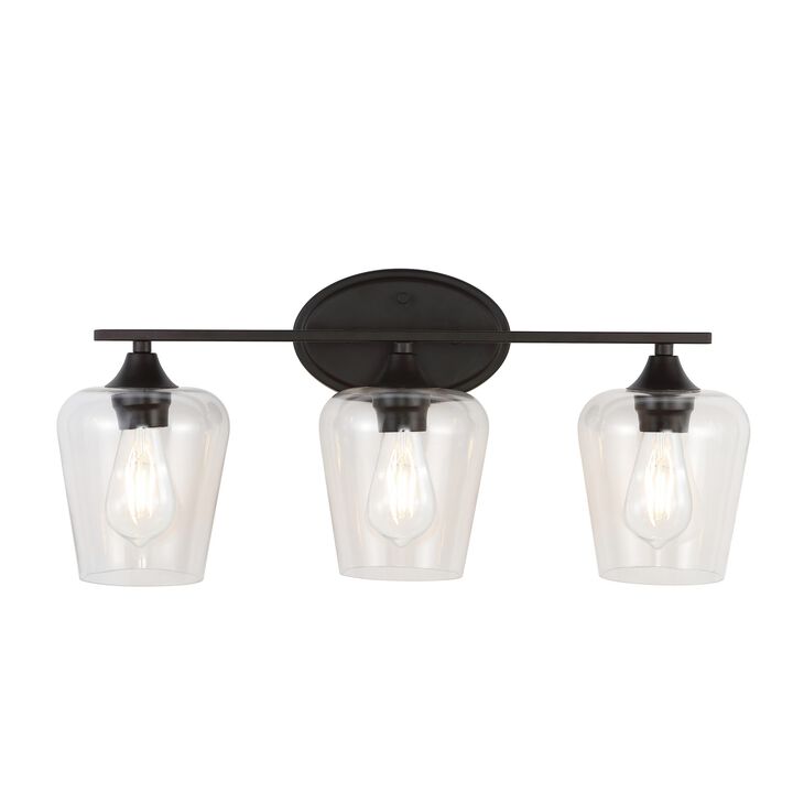 Jayne Iron/Glass Cottage Rustic LED Vanity Light