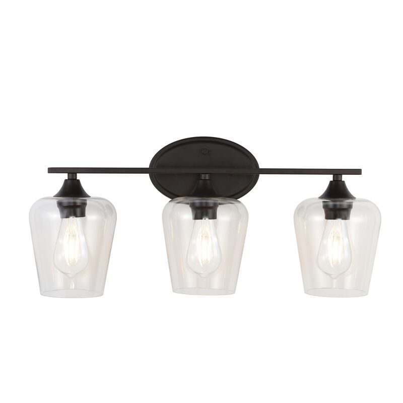 Jayne Iron/Glass Cottage Rustic LED Vanity Light