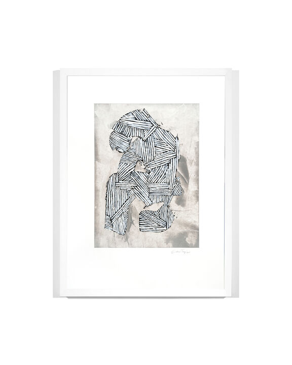Silver Possum 1