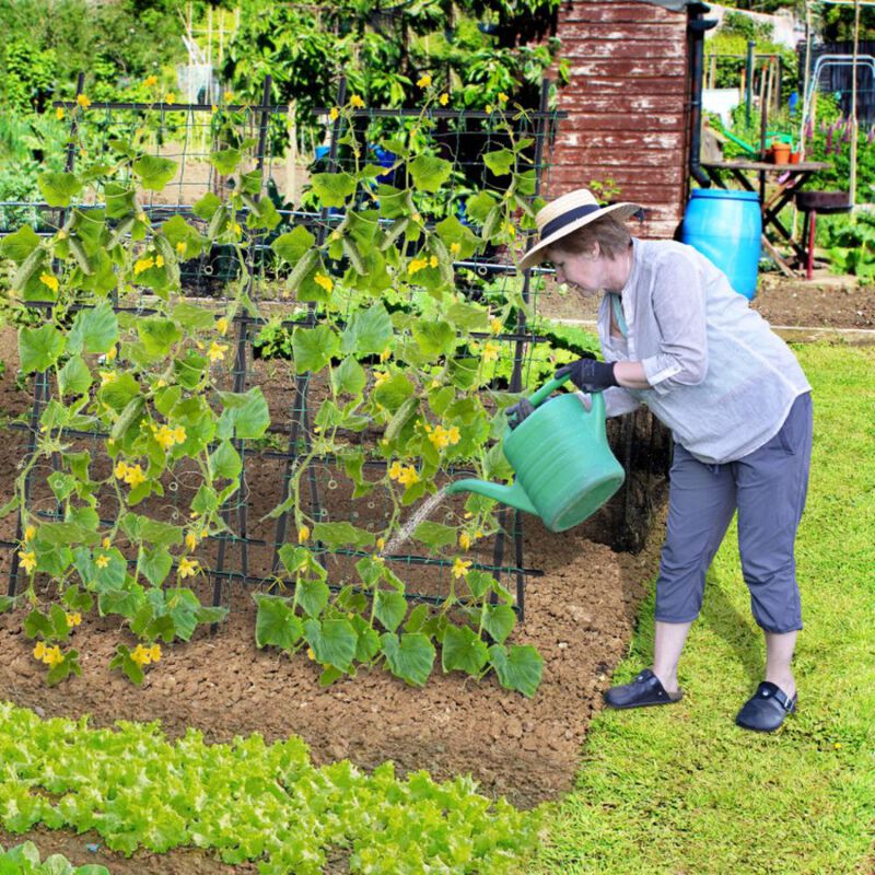 Hivvago 74 Inch Garden Cucumber Trellis with PE-Coated Frame for Climbing Plants