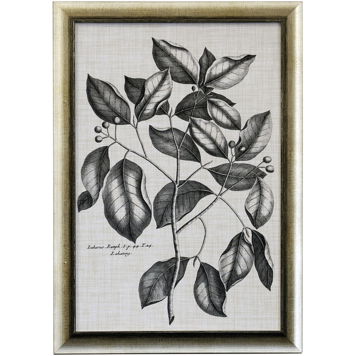 Black & Oatmeal Botanical VII