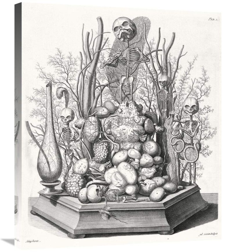 Ad. vivim Sculpsit-Canvas Art-25.5x30