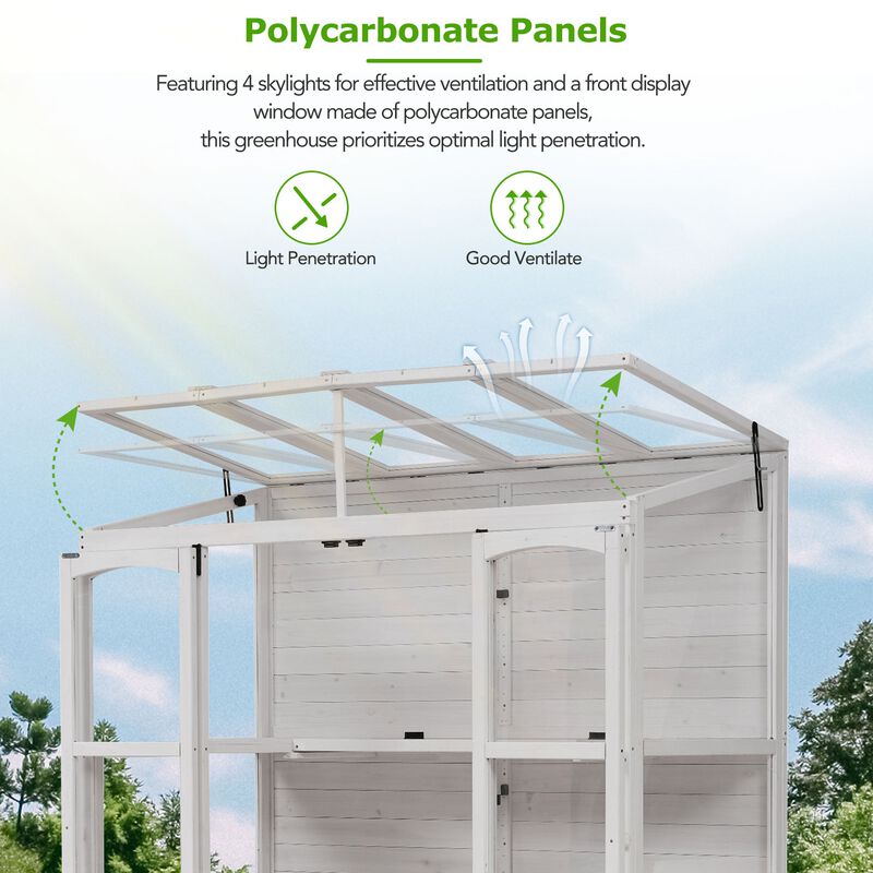 MONDAWE 78 inch Wooden Greenhouse Cold Frame with 4 Independent Skylights and 2 Folding Shelves, Walk-in Outdoor Greenhouse