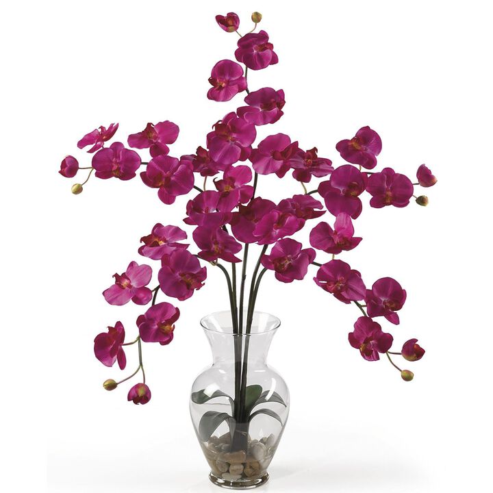 Nearly Natural Five Stem Phalaenopsis Liquid Illusion