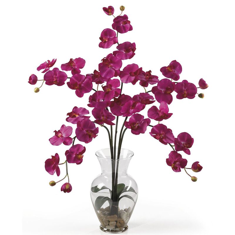 Nearly Natural Five Stem Phalaenopsis Liquid Illusion
