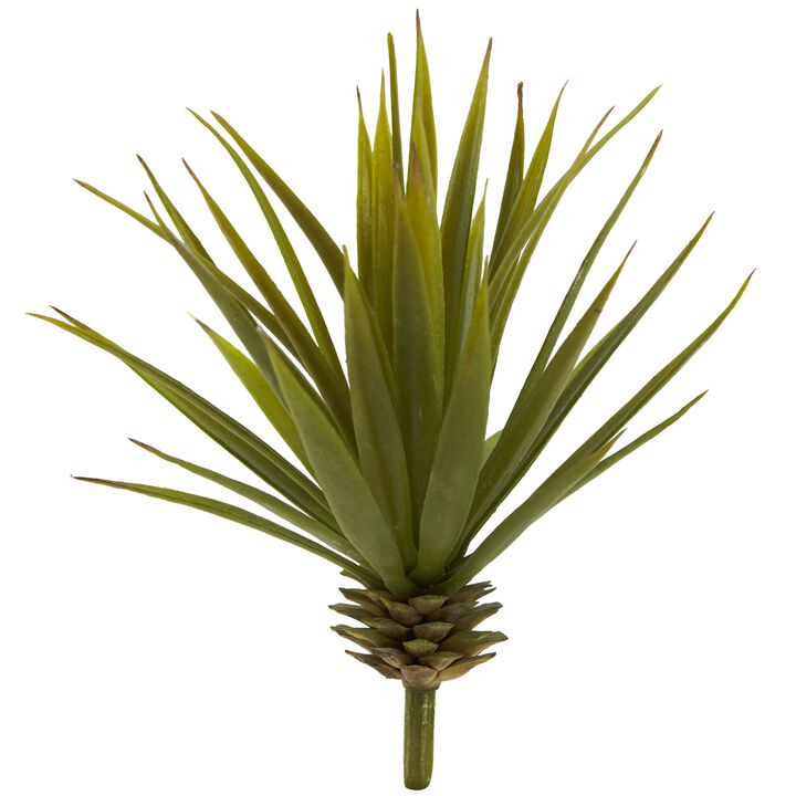 Hivvago Mini Spiky Agave Succulent Plant (Set of 12)