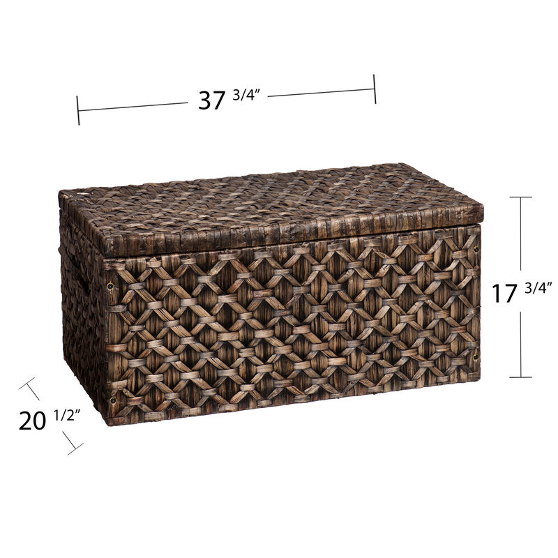 Darley   Storage Trunk