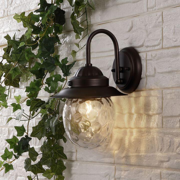 Rodanthe 1-Light Farmhouse Industrial Iron/Glass Outdoor LED Sconce