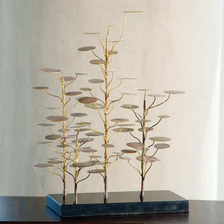 Eucalyptus Tree