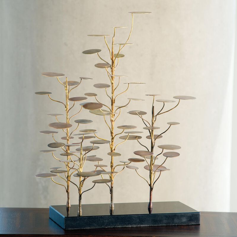 Eucalyptus Tree