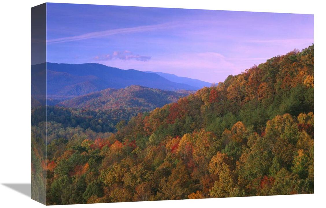 Appalachian Mountains ablaze with fall color, Great Smoky Mountains National Park, North Carolina-Canvas Art-16x12