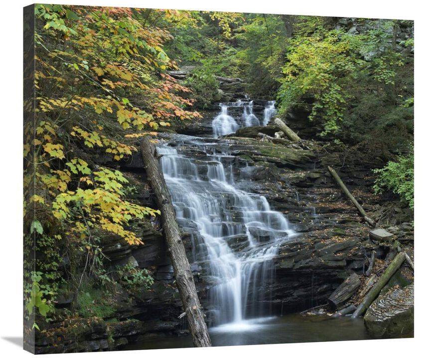 Delaware Falls, Ricketts Glen State Park, Pennsylvania-Canvas Art-30x26.7