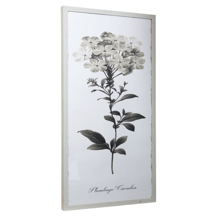 Framed Print Under Glass