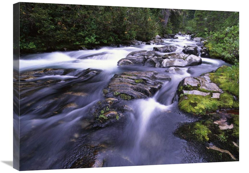 Paradise River, Mt Rainier National Park, Washington-Canvas Art-32x24