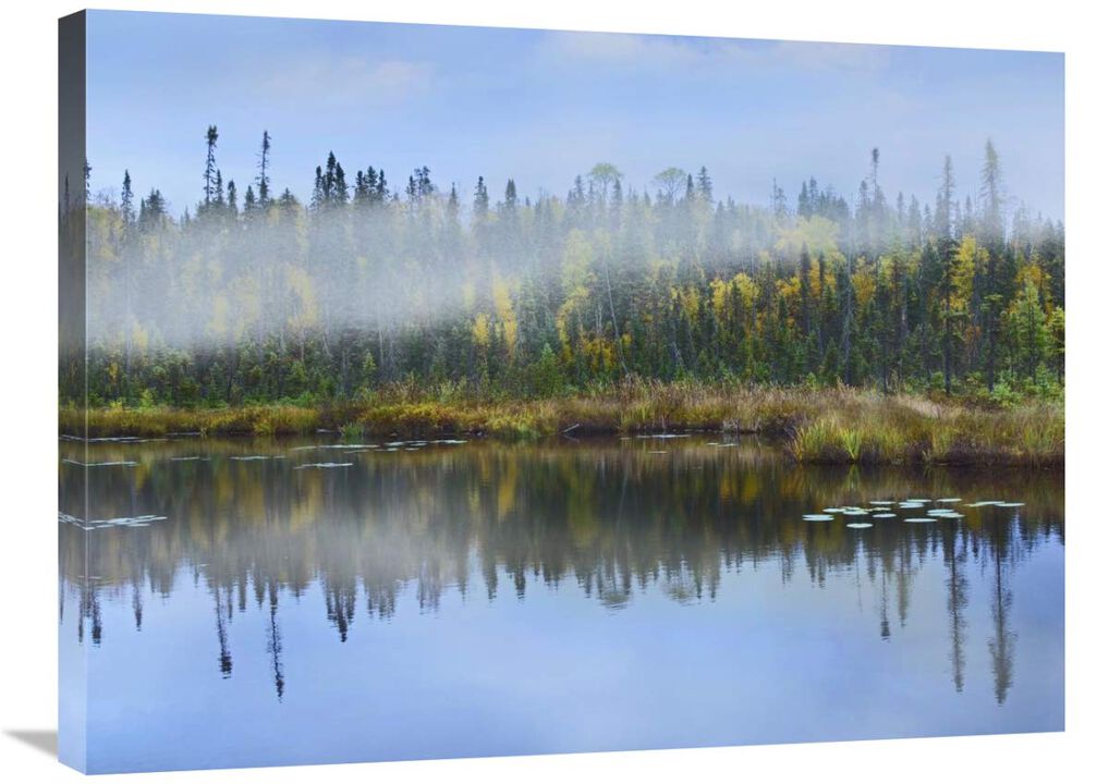 Fog over lake, Ontario, Canada-Canvas Art-32x24