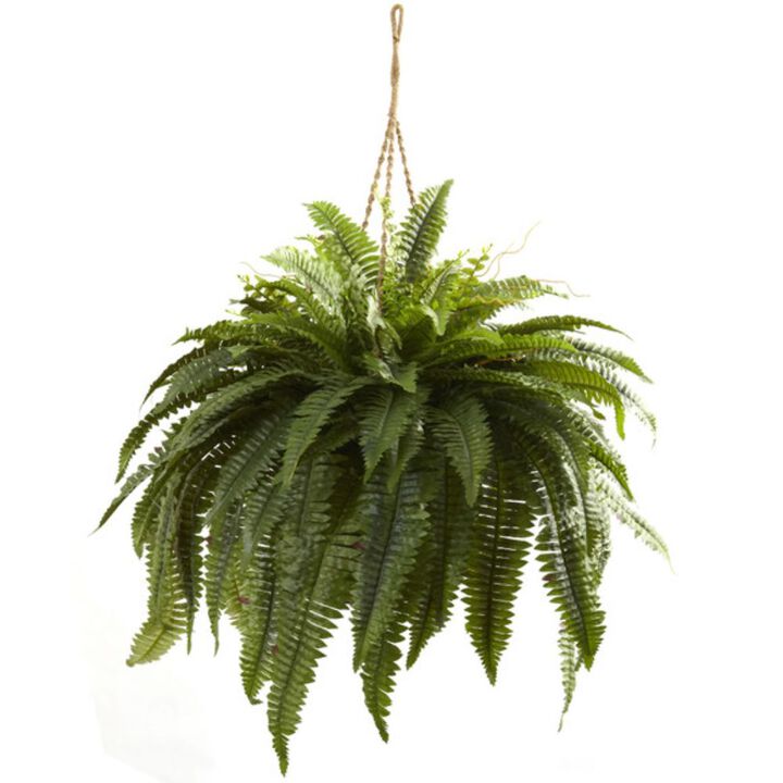 Hivvago Double Giant Boston Fern Hanging Basket