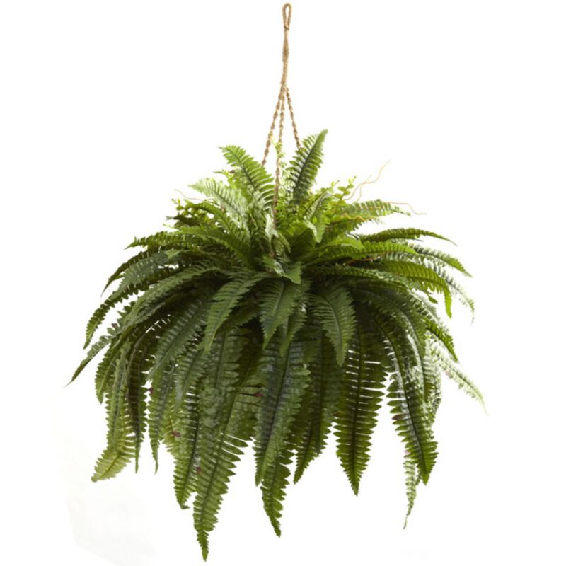 Hivvago Double Giant Boston Fern Hanging Basket