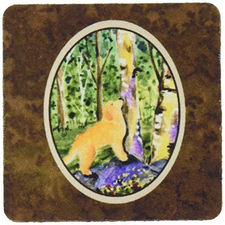 Caroline's Treasures SS8887FC Golden Retriever Foam Coasters (Set of 4), 3.5 H x 3.5 W, Multicolor