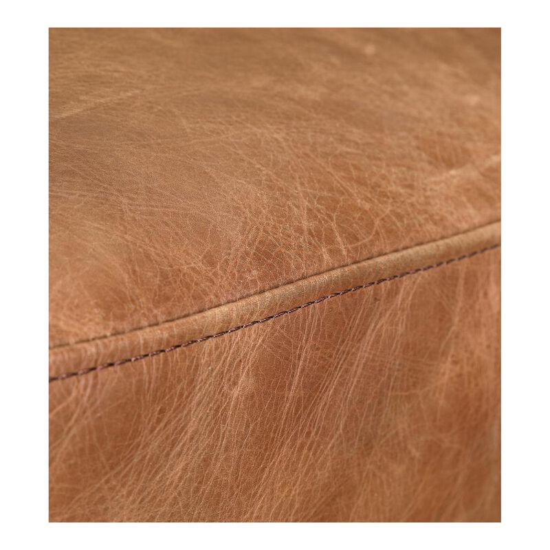 Moe's Home Collection Luxley Club Chair Cappuccino