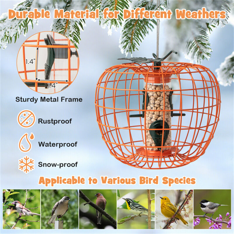 Squirrel-Proof Bird Feeder with Cage & 4 Feeding Ports for Wild Birds