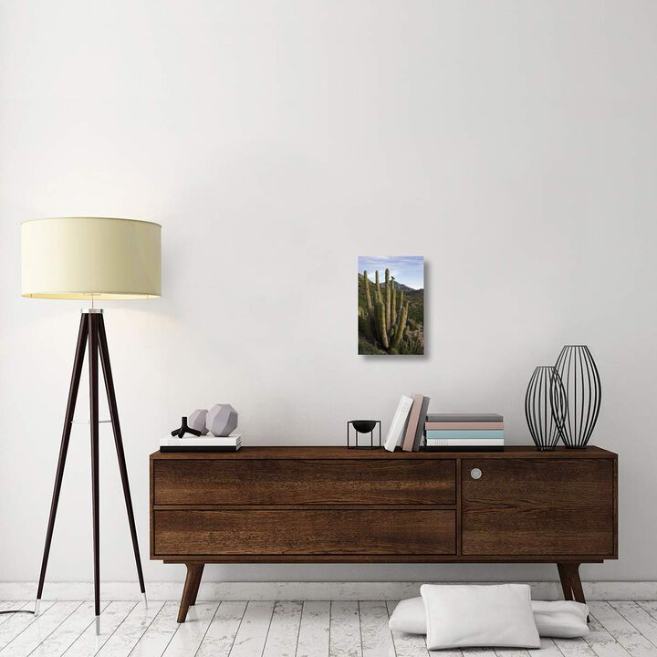 Common Raven perching in Cardon cactus, Santa Catalina Island, Sea of Cortez, Baja California, Mexico-Canvas Art-12x18