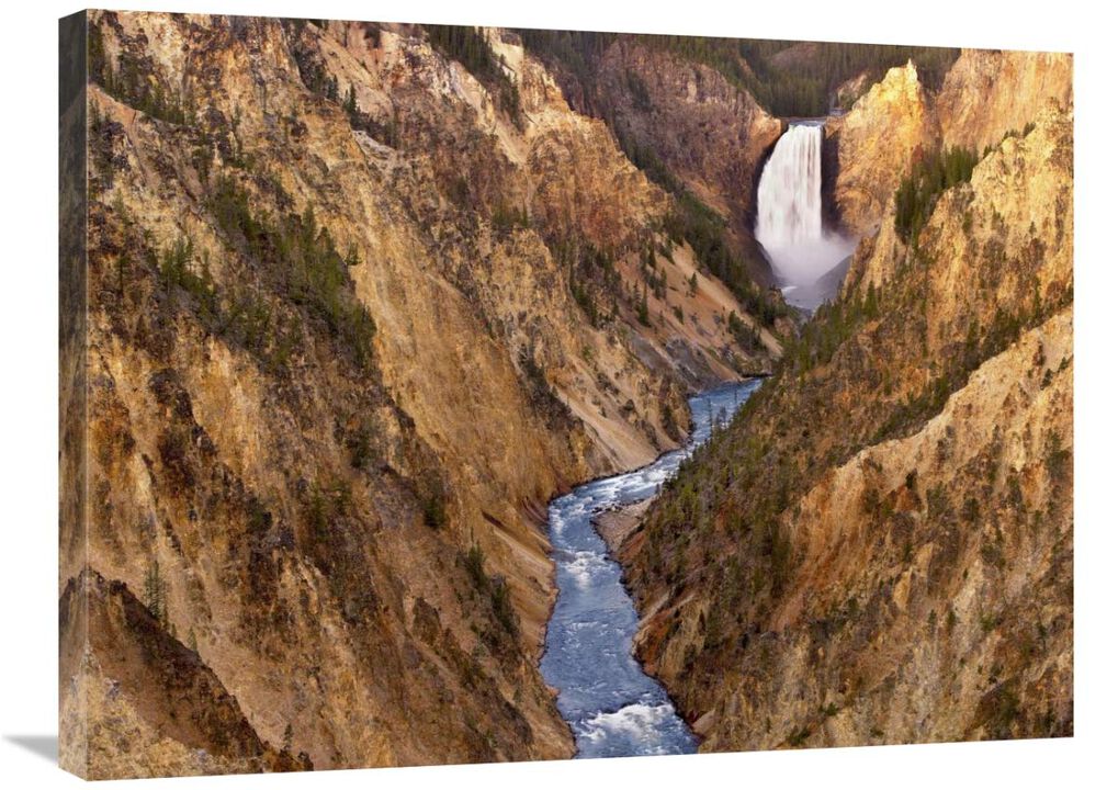 Lower Yellowstone Falls, Yellowstone National Park, Wyoming-Canvas Art-32x24