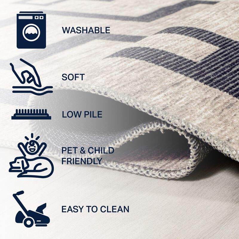 Ashkii Minimalist Medallion Machine Washable Area Rug