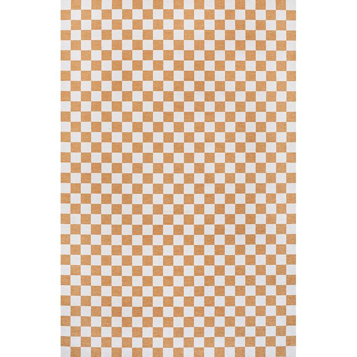 Ainsley Modern Cottage Checkerboard Washable Area Rug