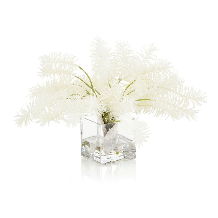 Lush White