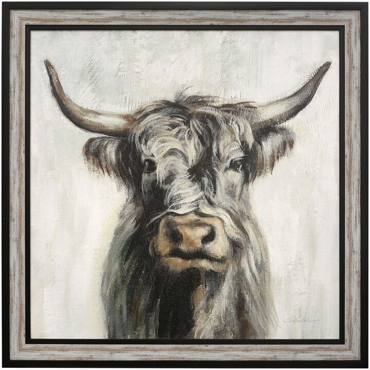 Highland Cow Framed Print