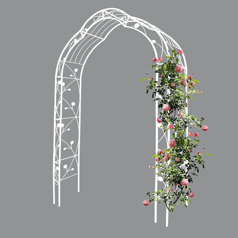 Streamdale Customizable Metal Garden Arch for Weddings and Events