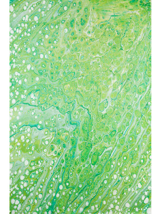 Kikiamo KK5 Lime-In 3' x 5' Rug