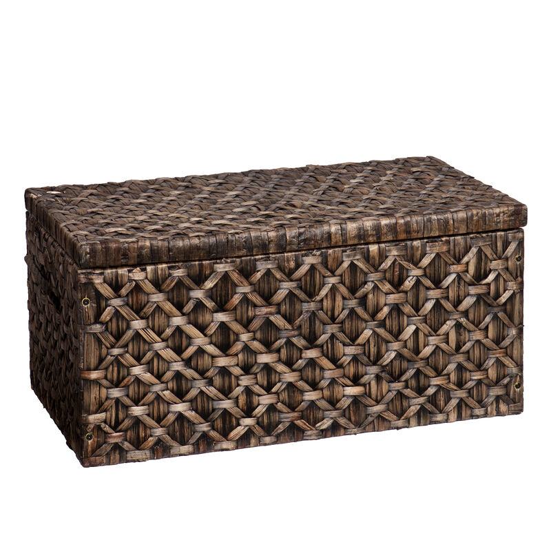Darley   Storage Trunk
