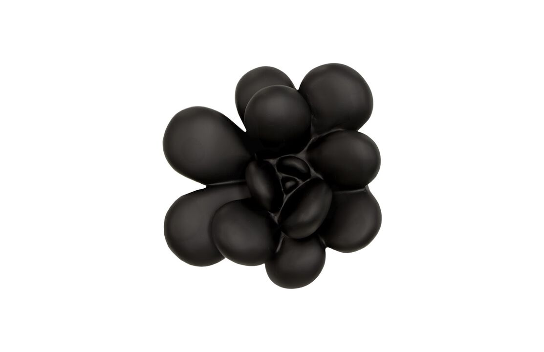 Oviferum Succulent Wall Art in Matte Black