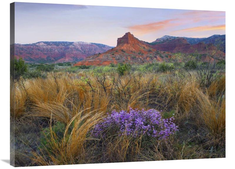 Caprock Canyons State Park, Texas-Canvas Art-40x30
