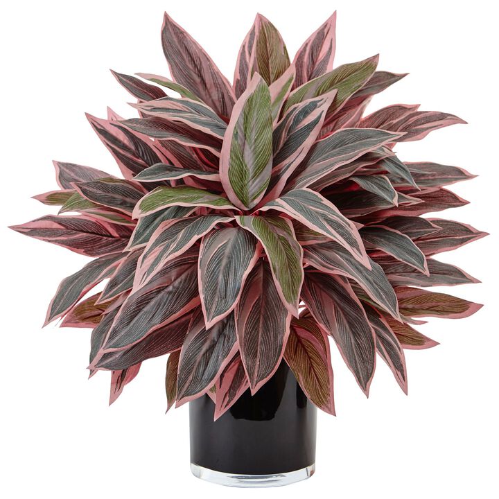 Hivvago Caladium in Black Glossy Planter