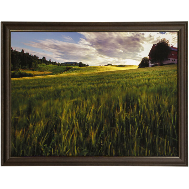 Fields Of Gold