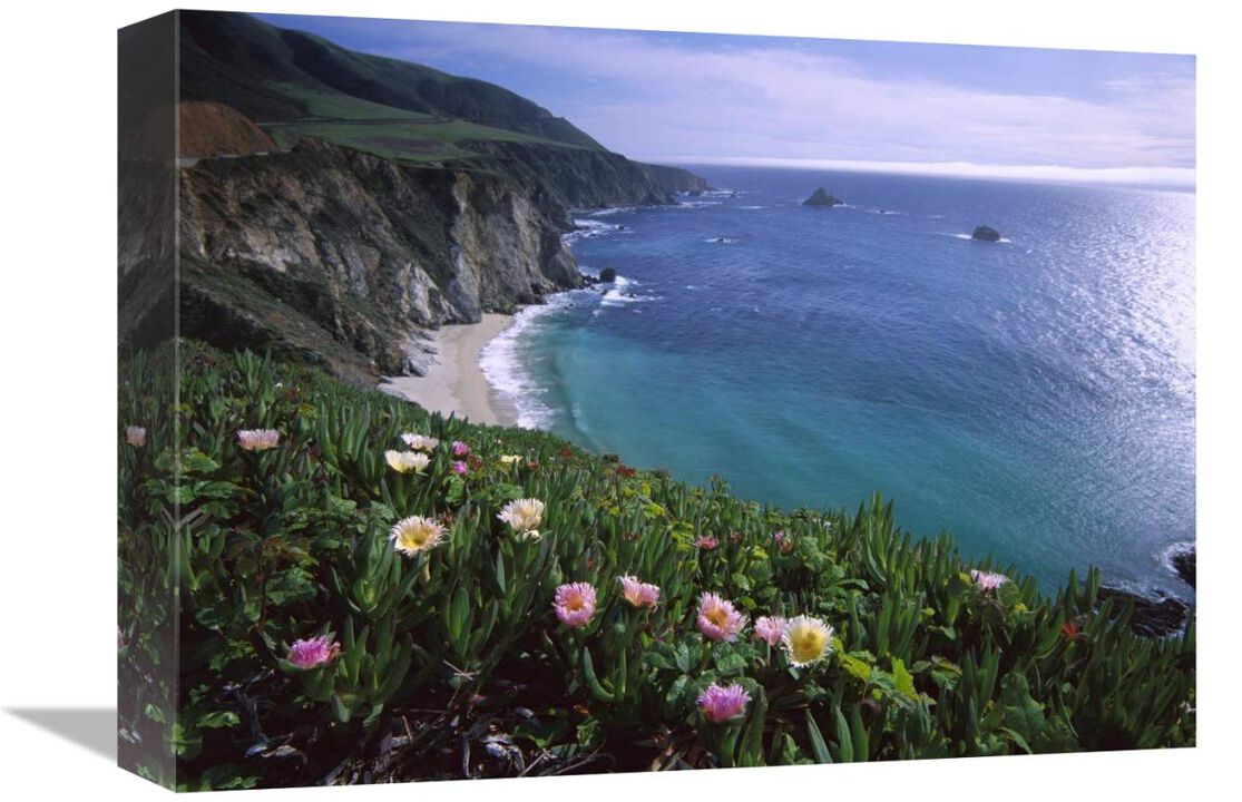 Ice Plant or Hottentot Fig Big Sur coast near Bixby Creek, California-Canvas Art-16x12