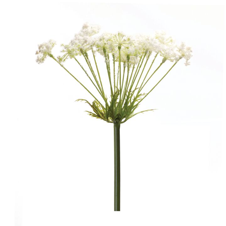 Queen Anne's Lace Stem Set of 2 for Floral Arrangements and Home Decor