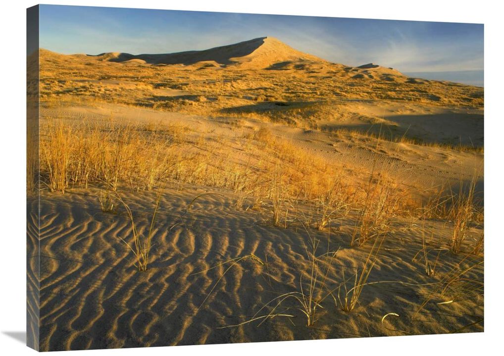 Kelso Dunes and grasses, Mojave National Preserve, California-Canvas Art-32x24
