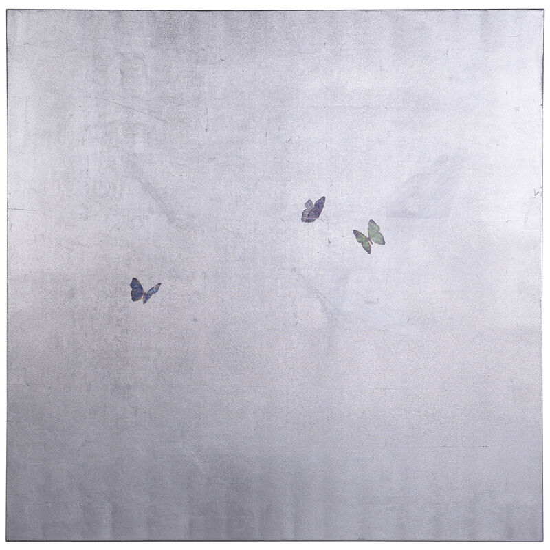 Silver Butterflies