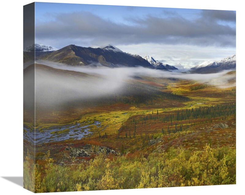Fog over tundra, Tombstone Range, Tombstone Territorial Park, Yukon, Canada-Canvas Art-16x14.56