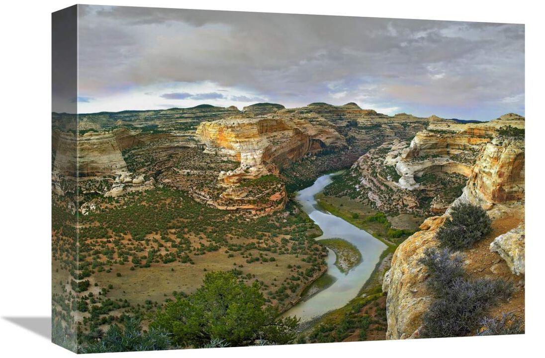 Yampa River flowing through canyons, Dinosaur National Monument, Colorado-Canvas Art-16x12