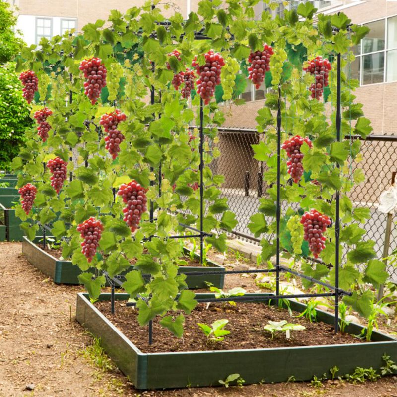 Hivvago A-Frame Garden Cucumber Trellis with Netting for Climbing Plants Outdoor