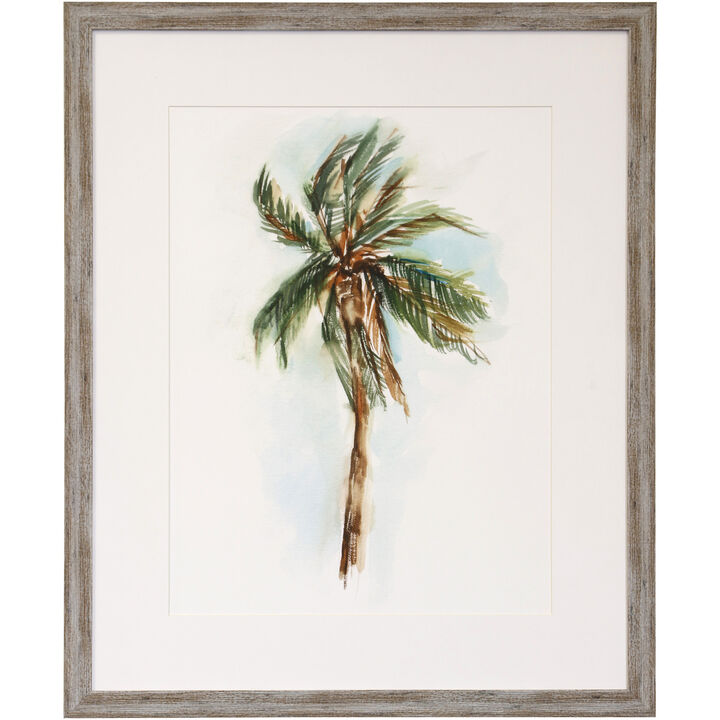 Palm Study