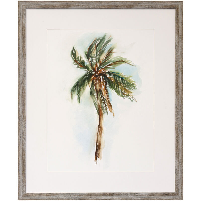 Palm Study