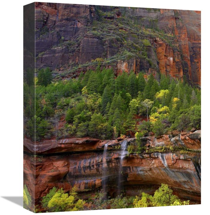 Cascades at Emerald Pools, Zion National Park, Utah-Canvas Art-13.28x16
